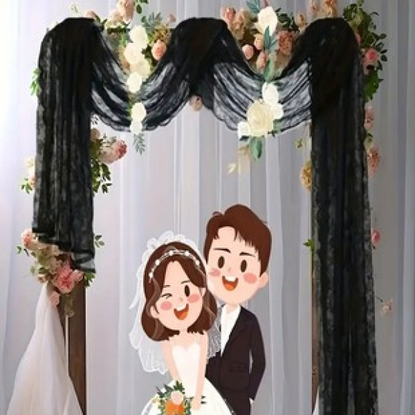 1PC New Product Manufacturer Direct Supply Cross border E-commerce Platform Black and White Lace Curtain Wedding Chiffon Yarn Curtain Factory