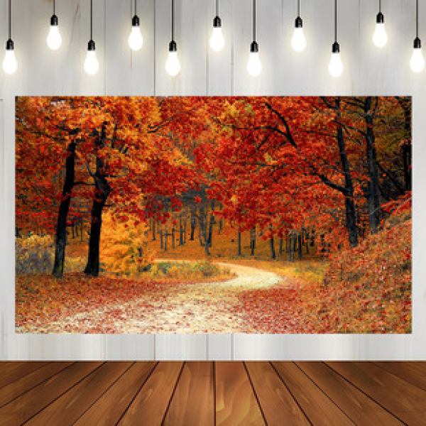 Cross border tapestry bedroom home wall decoration live broadcast background cloth wall hanging painting landscape series