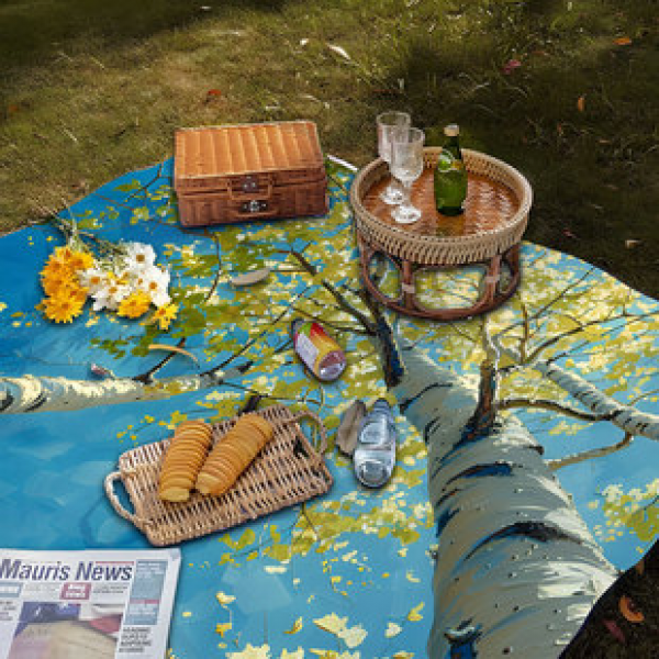 Cross border beach mat, quick drying, waterproof and moisture-proof mat, outdoor picnic mat, camping blanket