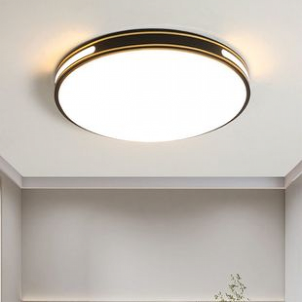 PVC new bedroom ceiling light LED eye protection double gold wire living room dining room light Simple and atmospheric study corridor light