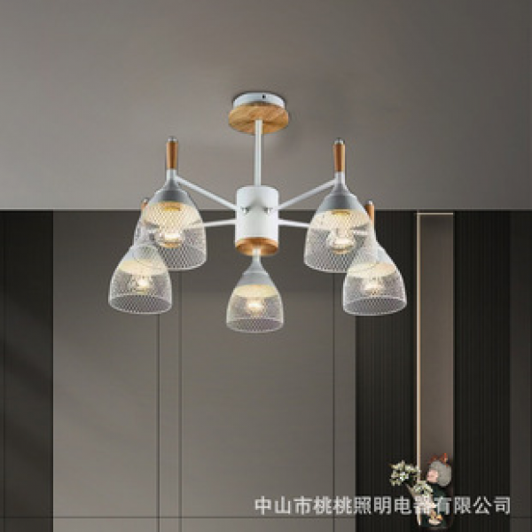 Cross border Nordic pendant light, living room main light, luxurious style, post-modern minimalist bedroom light, dining room art iron pendant light