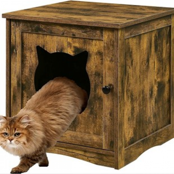 Living room, bedroom, cat litter box, enclosed cat house, side table, hidden cat restroom with door