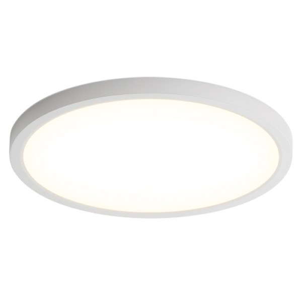 11.8 Inch Flush Mount Ceiling Light, 20W LED+Nightlight Ceiling Light Fixture for Kitchen Bedroom Living Room